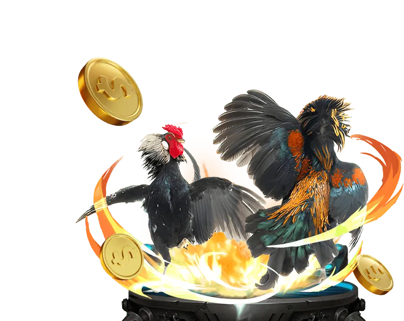 Đá gà trực tiếp Thomo uy tín